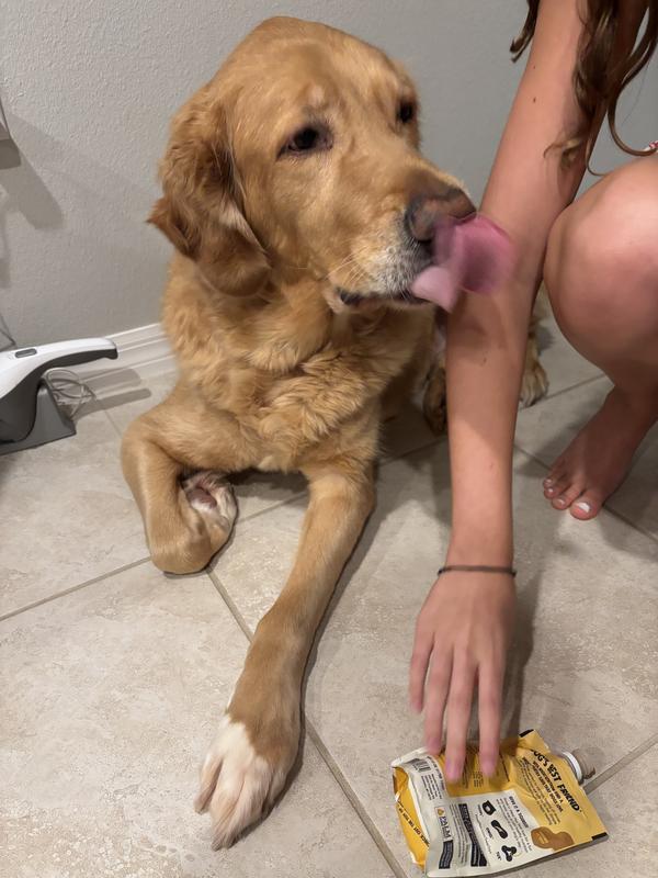 Dog enjoying his treats