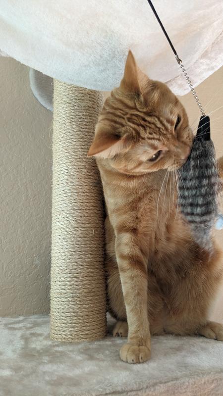 Mmmm...catnip!