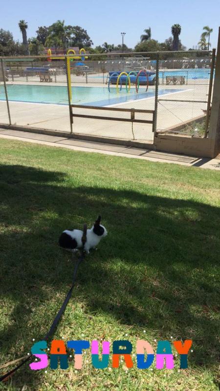 Photo - commentaire&nbsp;5.