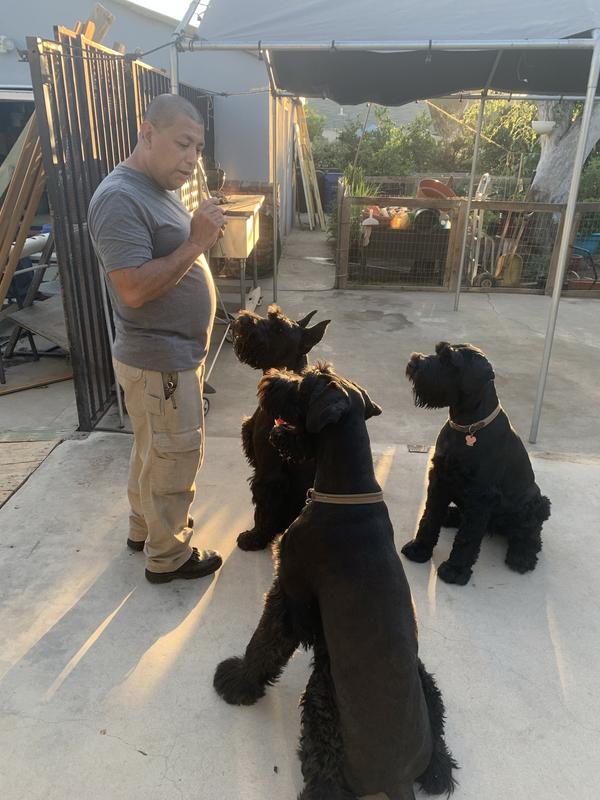 My husband doing some training!!!