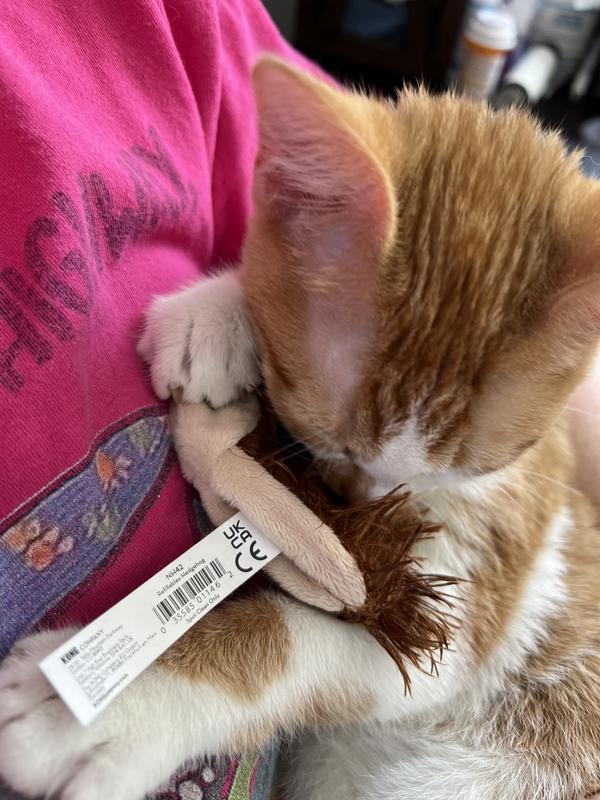 He loves it!