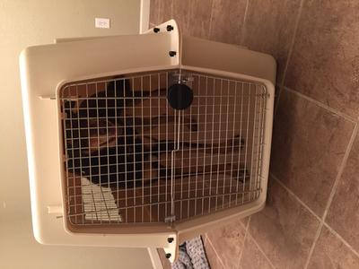 Petmate Traditional Vari Kennel Portable Kennel 48 L X 32 W X 35 H Petco