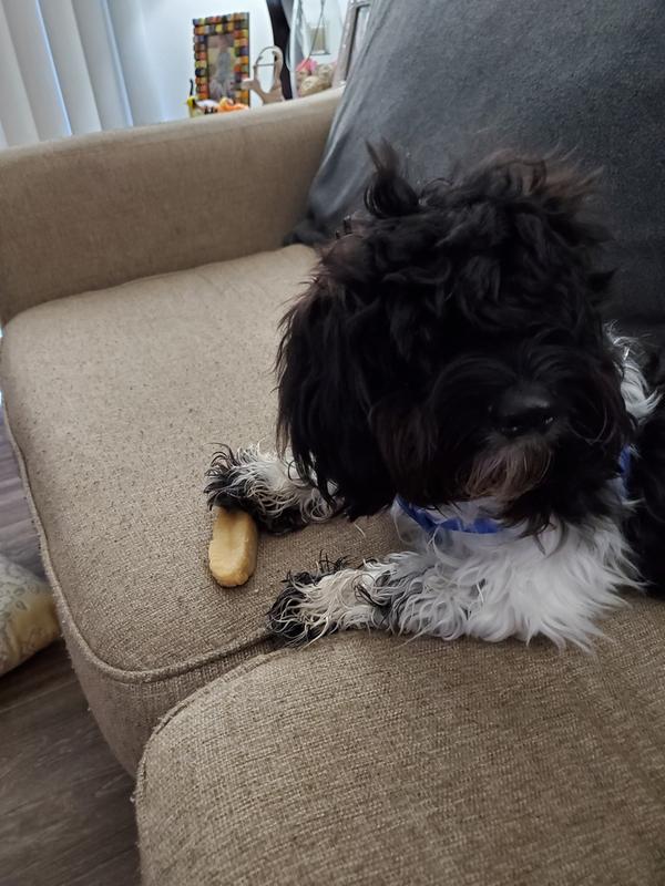 petco himalayan dog chew