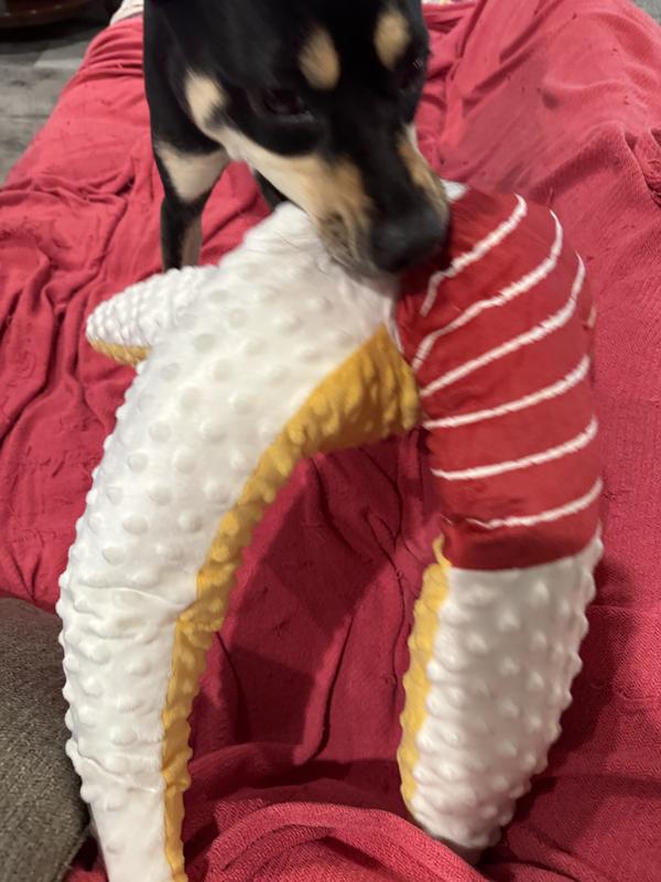 Ruby playing