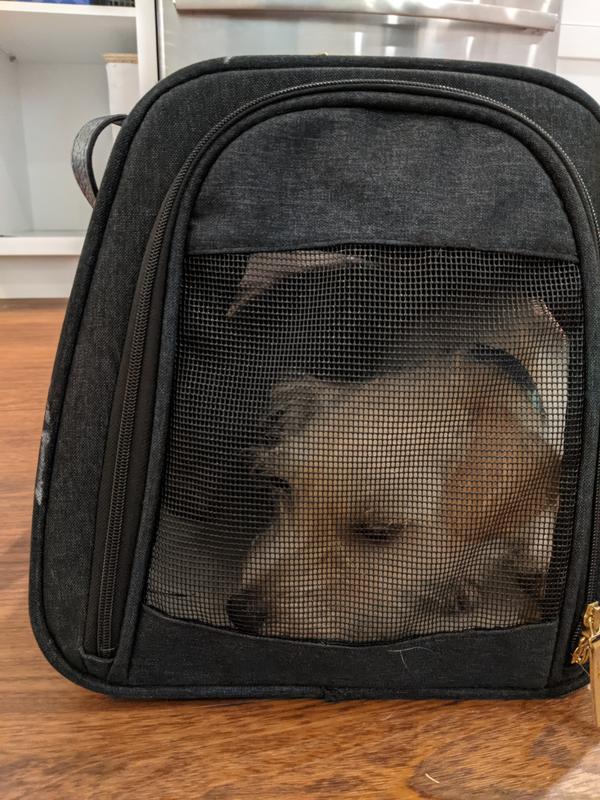 Fits under airline seat but poorly designed for holding