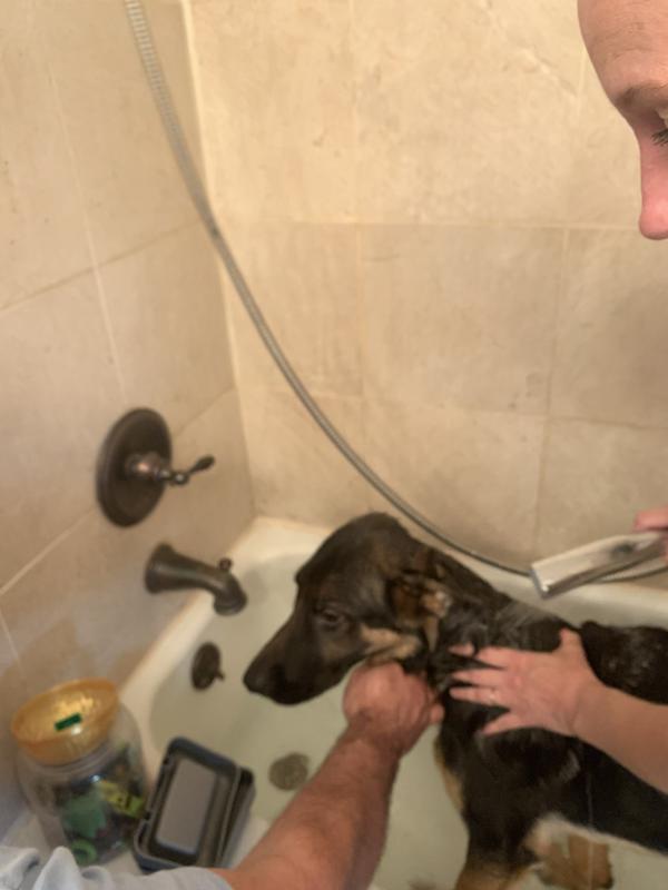 Using well&good puppy shampoo and conditioner