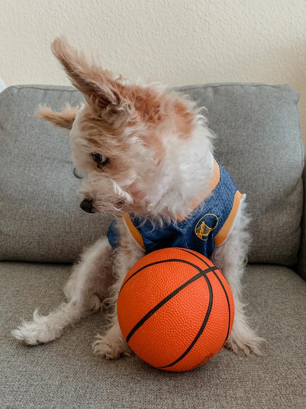 Pets First NBA LA Clippers Mesh Basketball Jersey for DOGS & CATS