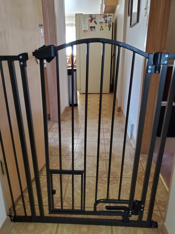 you and me walk through pet gate