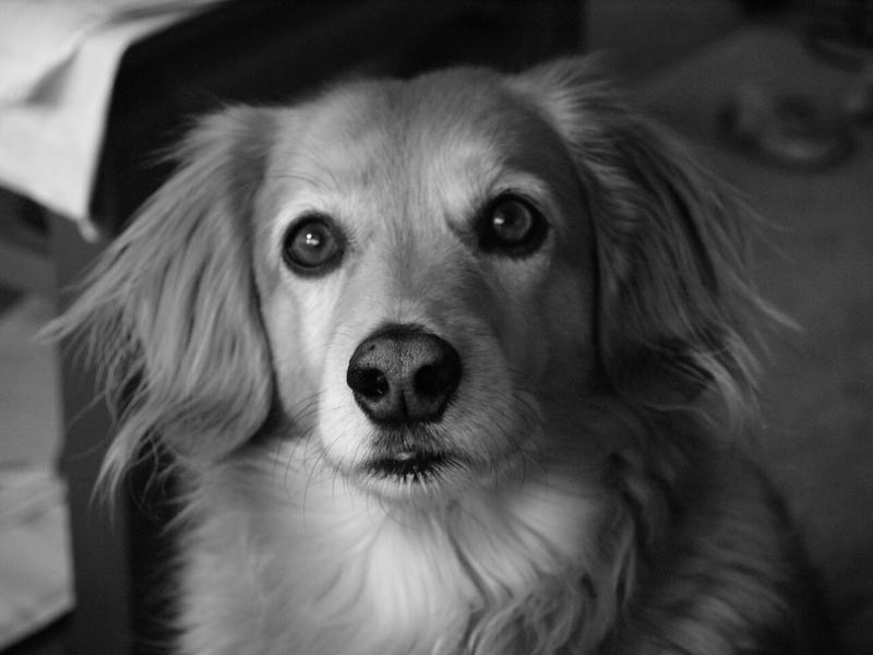 Daisy ...