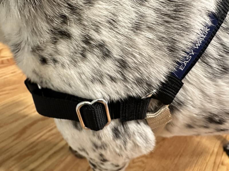 It is super adjustable to fit your pup perfectly