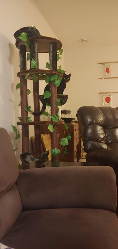kitty mansions tasmania cat tree