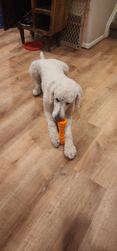 Relaxing Chewing Break