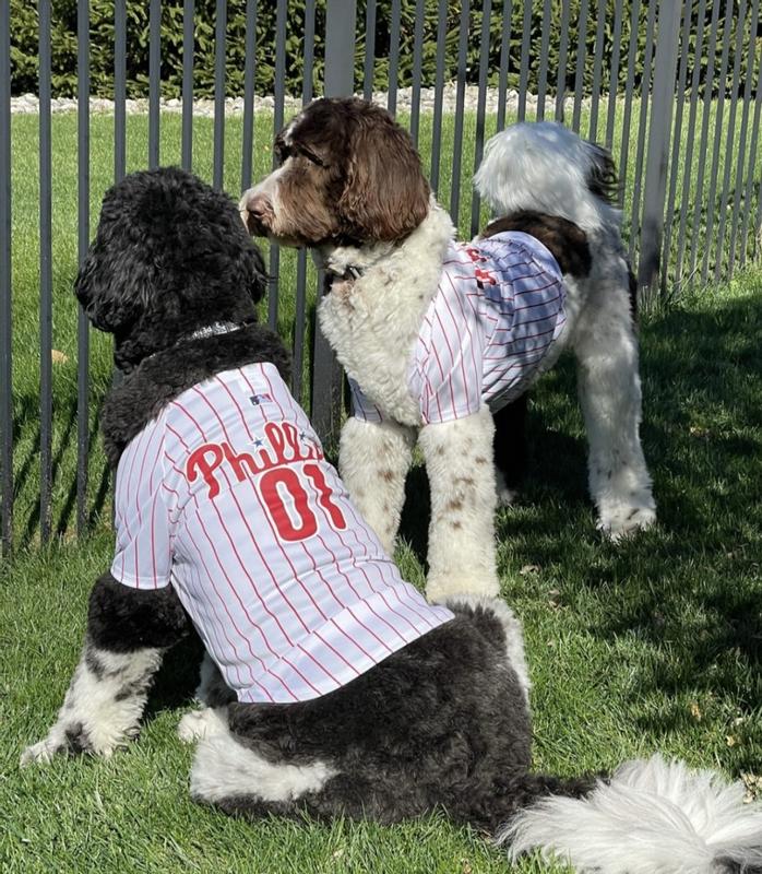 Pets First MLB National League East Jersey for Dogs, X-Small