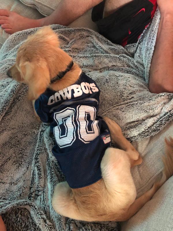 NFL Dallas Cowboys Pet Jersey. *Officially Licensed* Brand NEW!