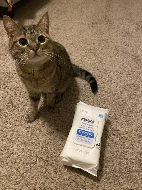 Well Good Unscented Hypoallergenic Deodorizing Cat Wipes Count