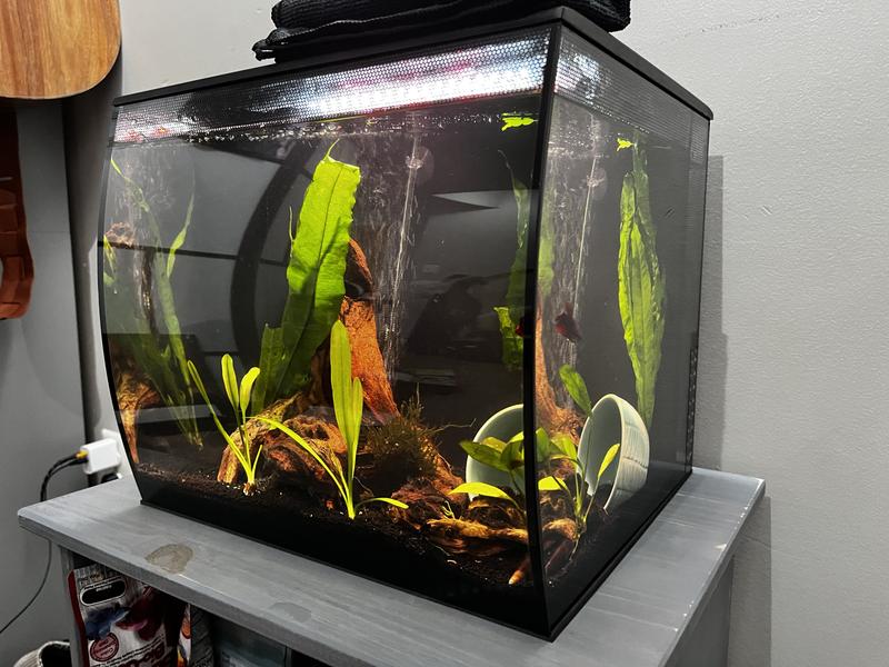 FLEX 34L 9 Gallon Aquarium Kit BLACK - (14 x 13 x 13) - Fluval 