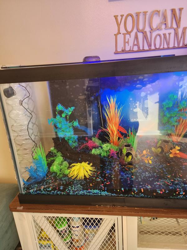 Aqueon 75 Gallon Open Glass Aquarium Tank Stand from Petco