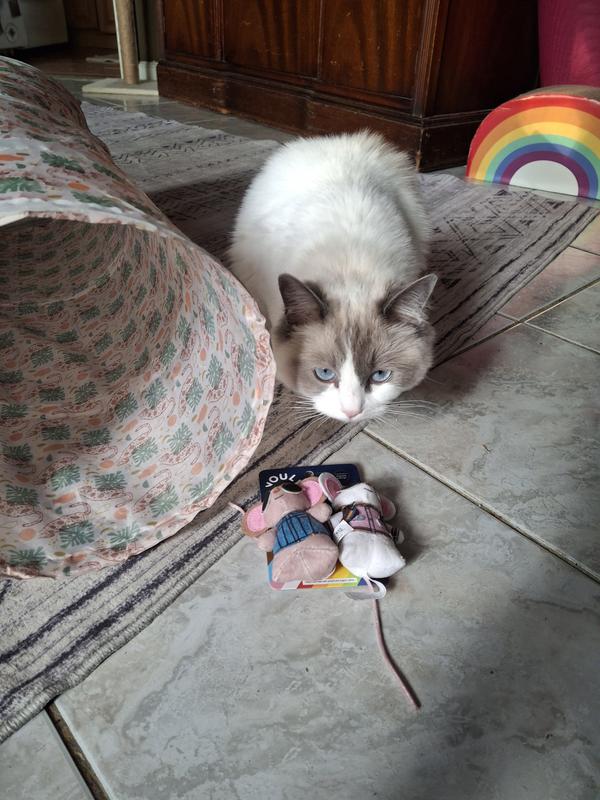 This fun 2-pack of mice with organic catnip