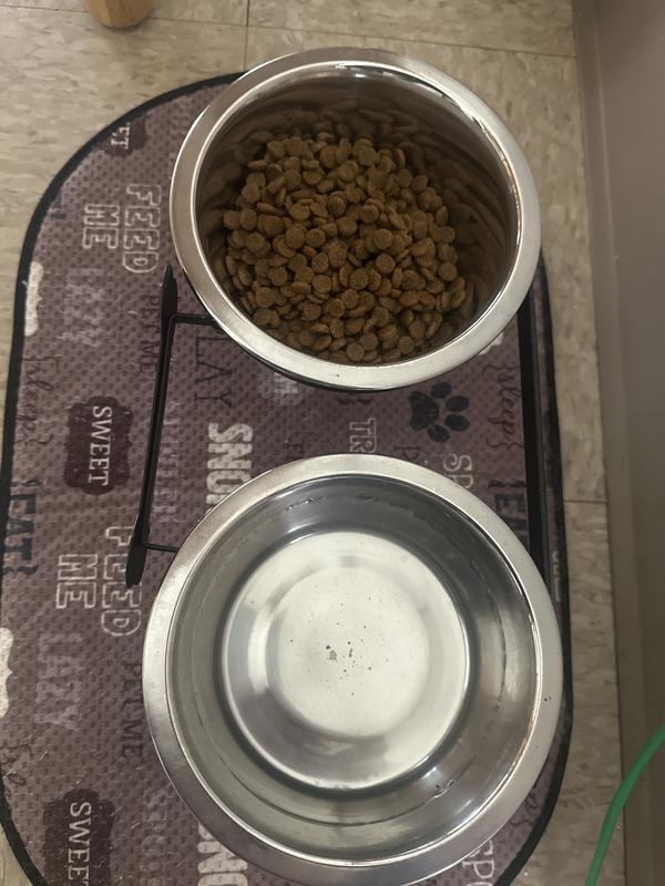 My dogs food bowls!