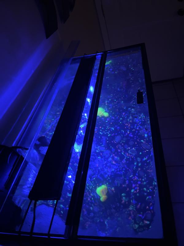 Aqueon Versa Top 36 X 18 Hinged Glass Aquarium Top