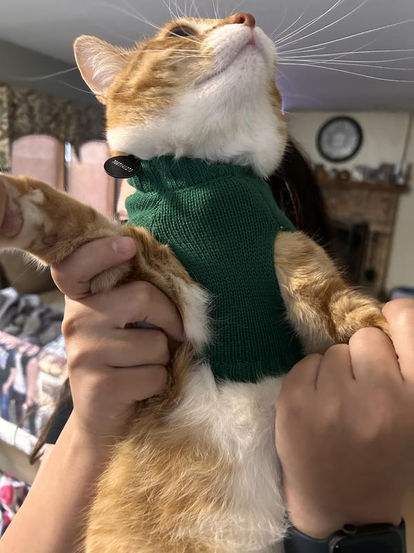 Petco cat sweater best sale