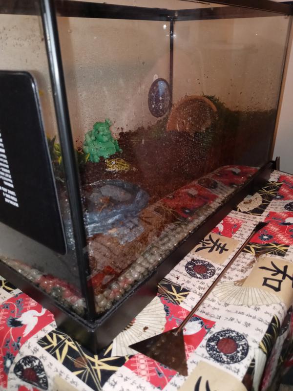 Side view with fiberglass screen separating clay balls and substrate.