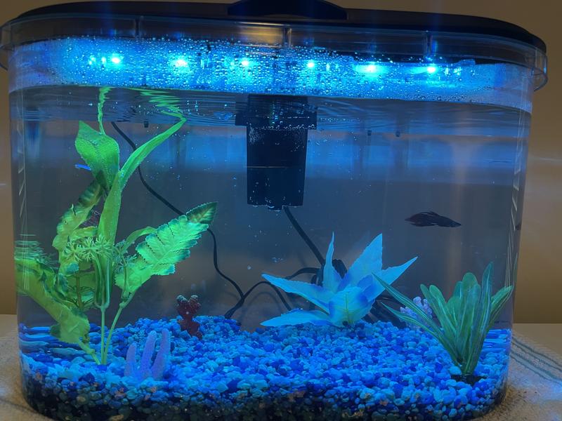 Imagitarium 5.2 Gallon Freshwater Aquarium