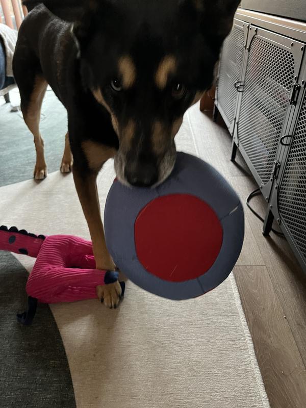 Reddy Blue Durable Kettlebell Dog Toy Medium & Washable