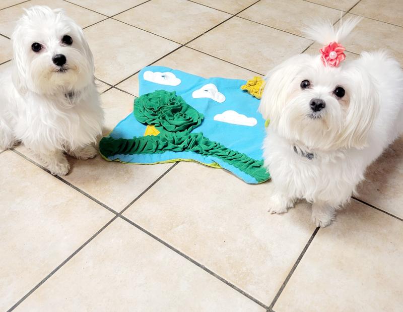 Dog Snuffle Mat ♤ORIGINAL♤ Nosework Play Sniffing Pet Pad Ship