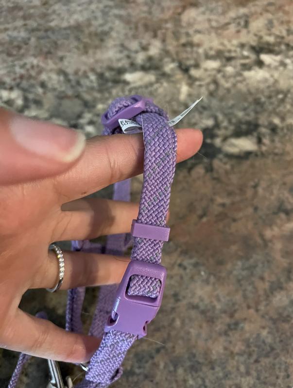 thumbnail image 2 of FENTERXY Escape-Proof Cat Harness - Adjustable Breathable Pet Vest With Leash 2 of 13