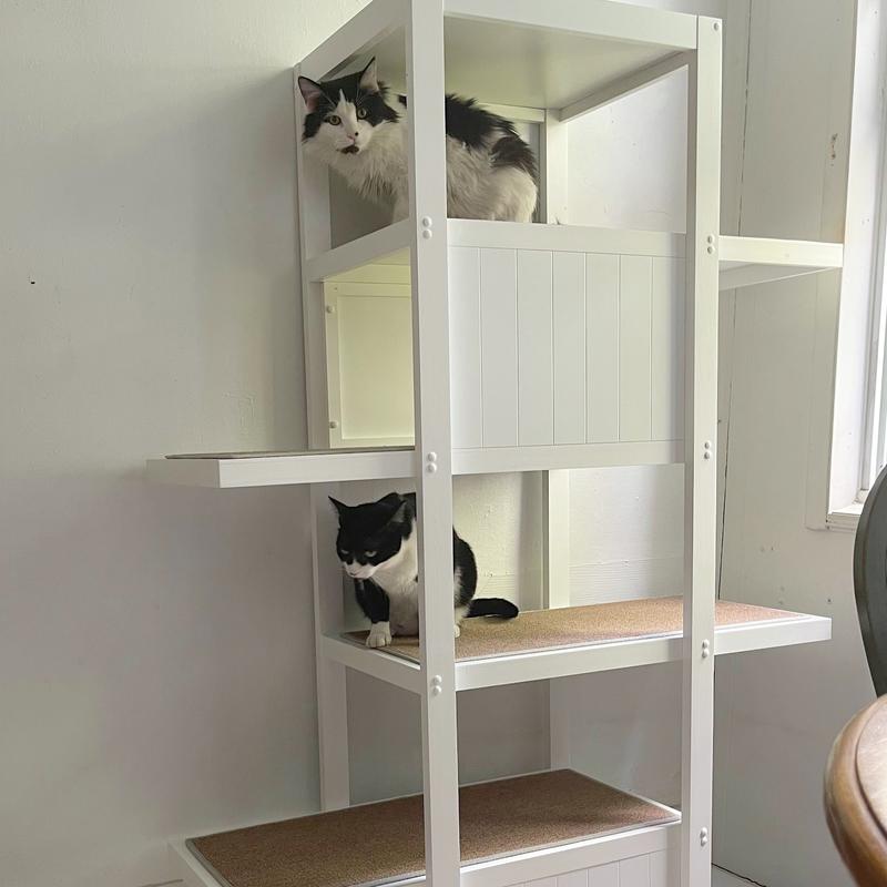 Boomer and george bookshelf best sale cat tree