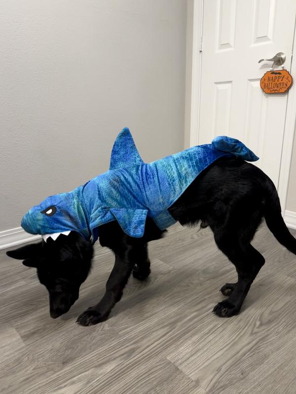 Large dog shark costume best sale