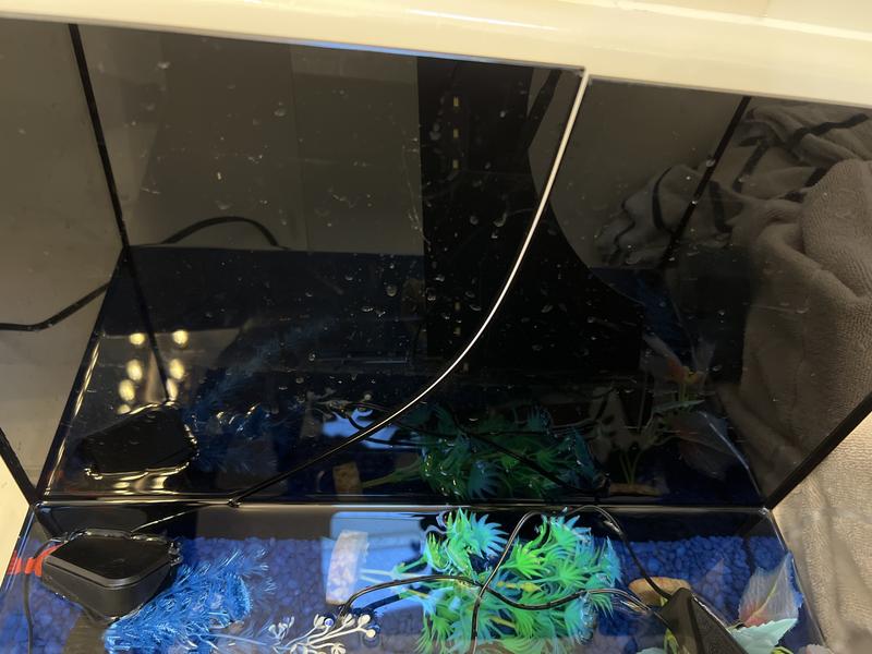 entire back of tank cracked
