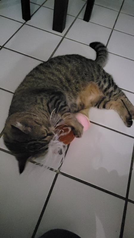 This is him three seconds out of the box