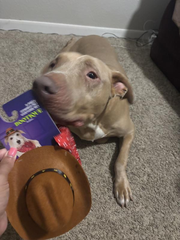 What’s this mom?