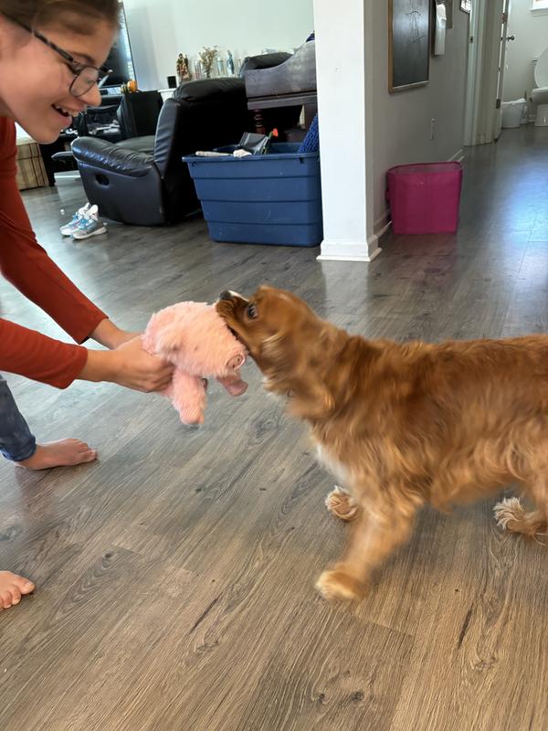 They like to tug