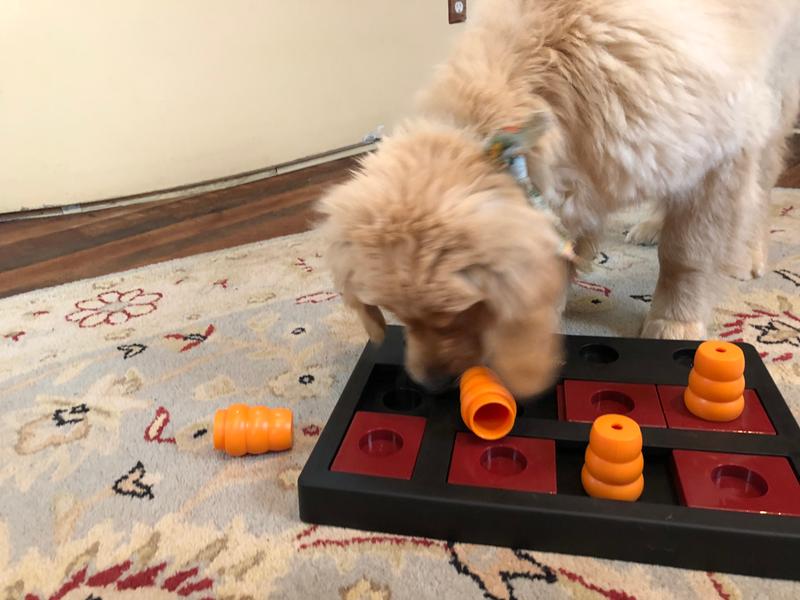 TRIXIE Chess Strategy Game, Advanced Dog Puzzle Toy, Level 3 Activity,  Treat Puzzle, Interactive Play, Enrichment