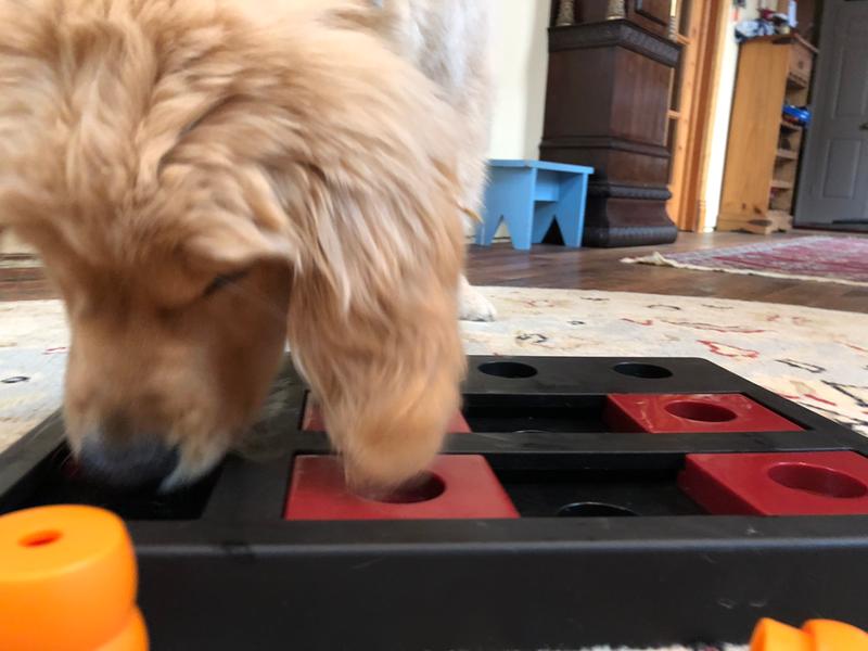 Trixie Chess Game for Ulabelle.