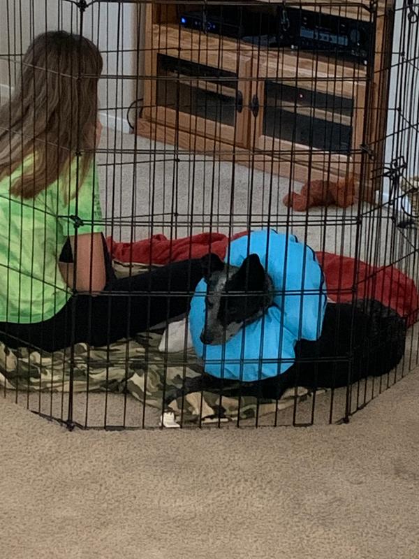 you & me adjustable exercise pen 30