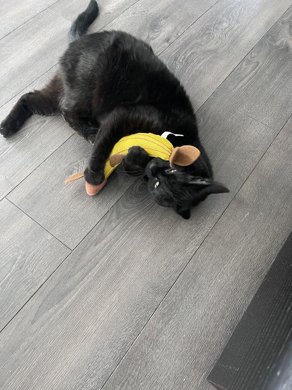 Photo - commentaire&nbsp;6.