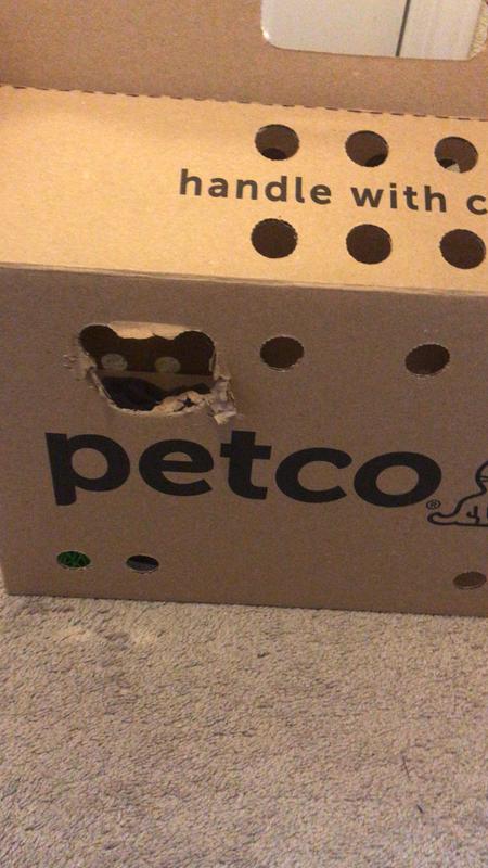 Petco cardboard carrier hotsell