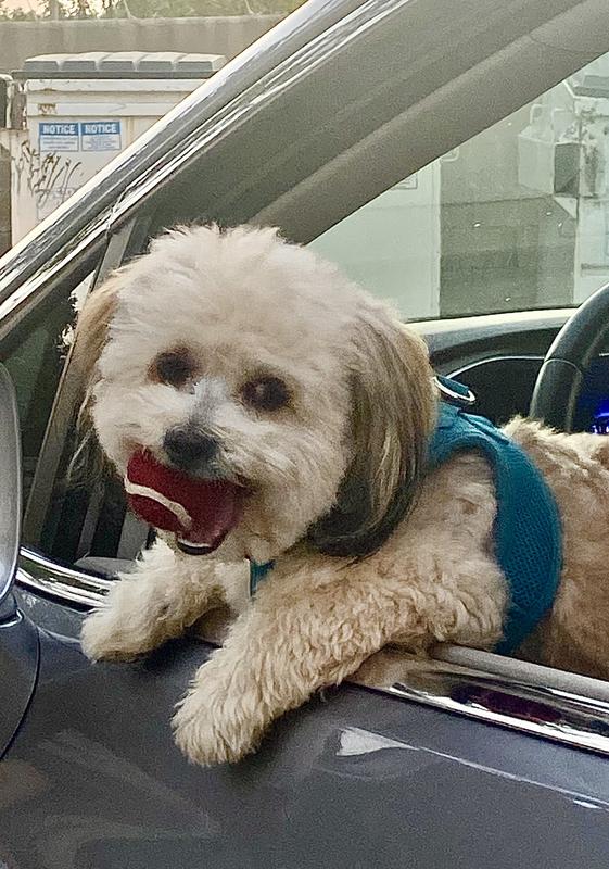 Photo - commentaire 3.