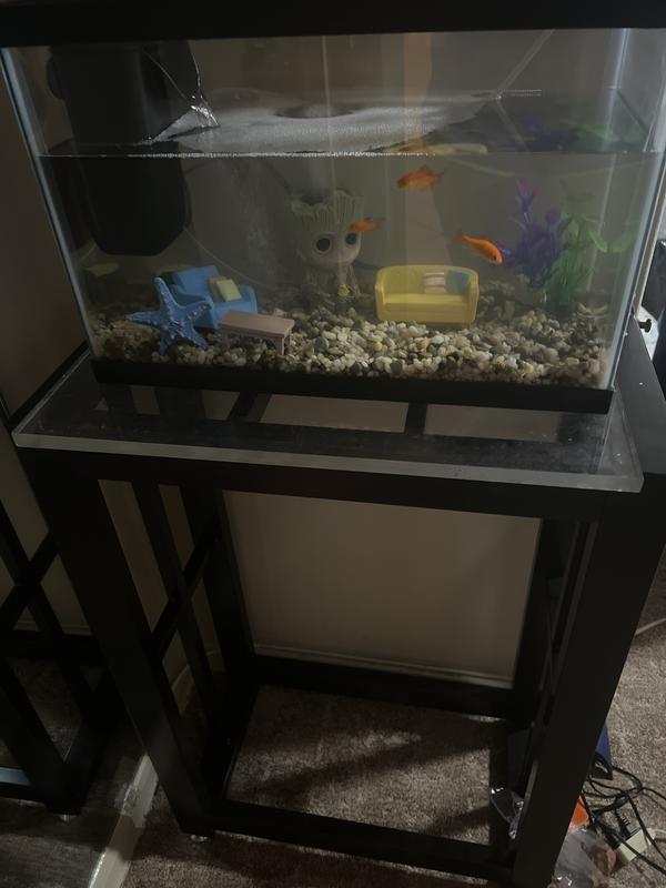 Imagitarium Brooklyn 10-Gallon Aquarium & Terrarium Stand