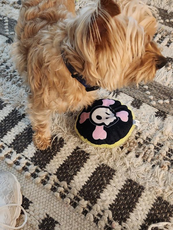 Photo - commentaire&nbsp;7.