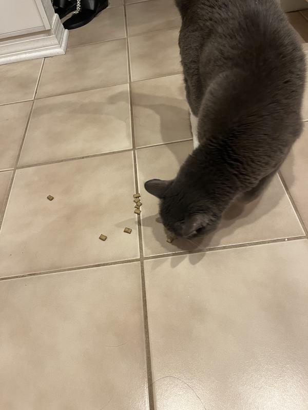 Oskar loves them too (but he's easy).