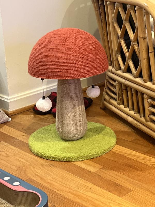 Cat scratching post outlet petco