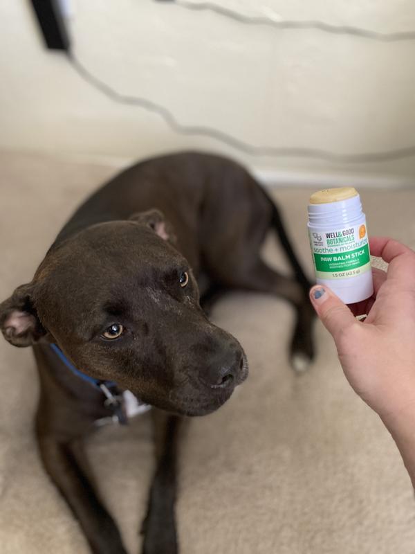 Petco dog outlet paw balm