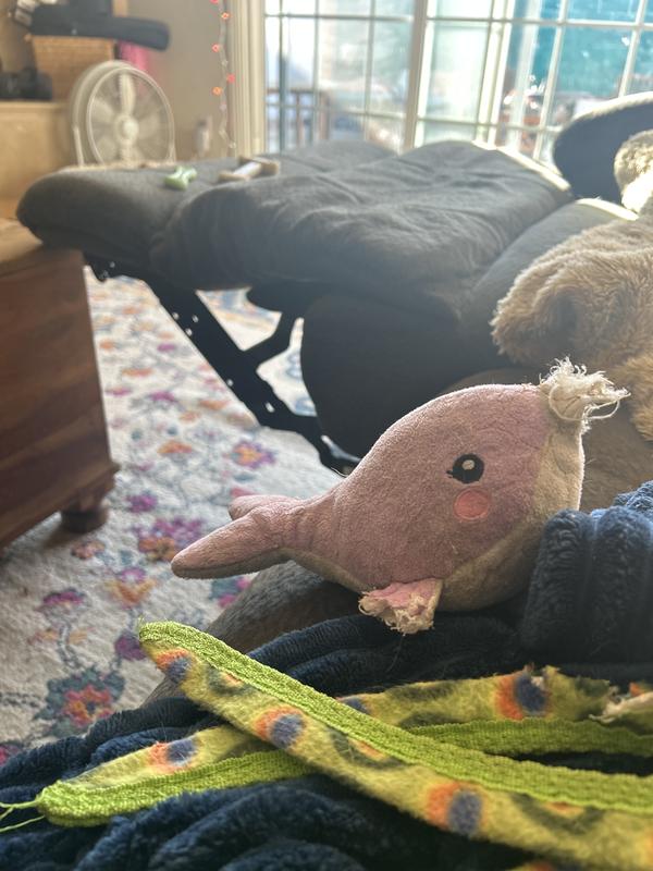 We’ve had this for YEARS. Still has a squeaker