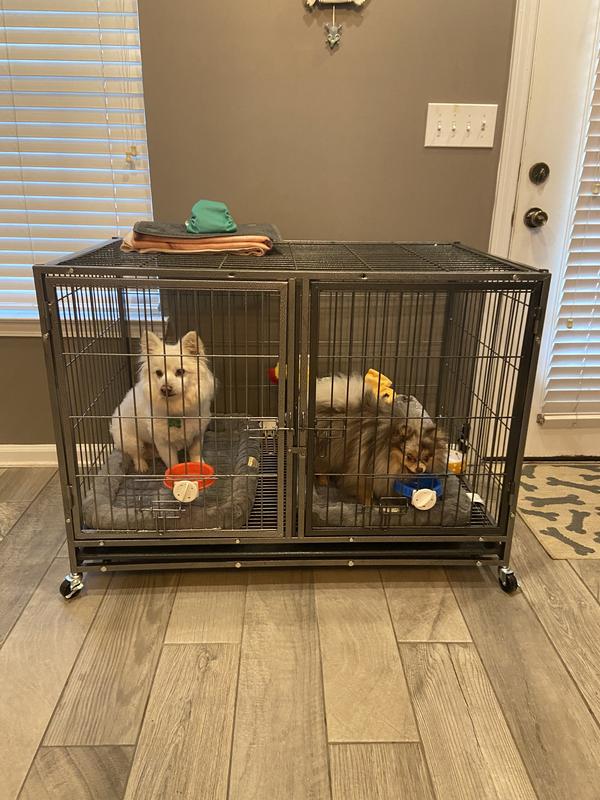 Stackable dog crates sales