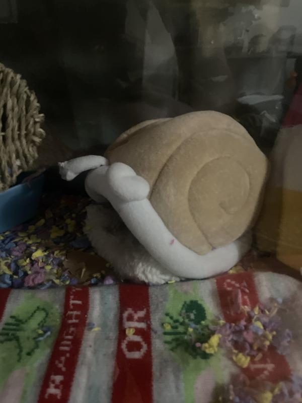 Snail